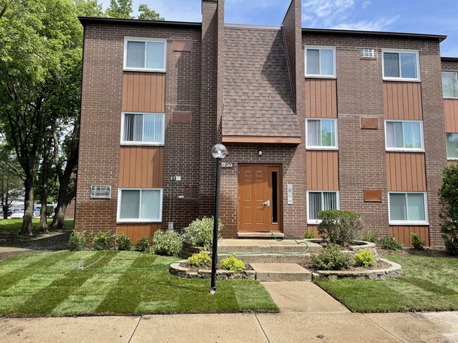 745 Court of Spruce - 4
